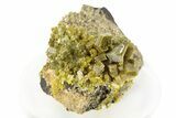 Lustrous Forest-Green Pyromorphite Crystal Cluster - China #260971-1